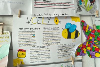 Mezipředmětové vztahy – výtvarná výchova, přírodopis, 4. B, vedla M. Hortová