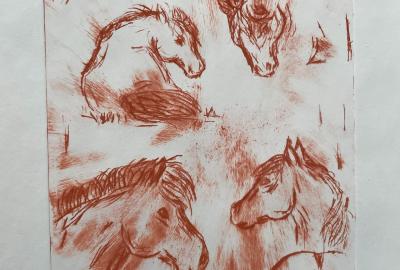 Suchá jehla, autorský tisk M. Hessová, 9. D, vedla Z.Macáková