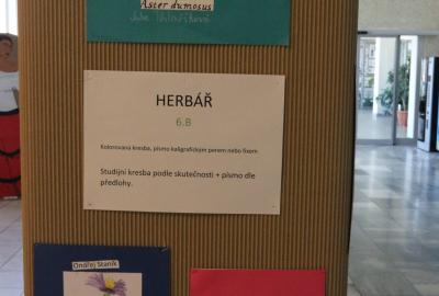 6.B Vv,  "Herbář" studie rostlin dle skutečnosti, kolorovaná kresba, paspartování obrázku, latinský název - popis kaligrafickým perem nebo fixem