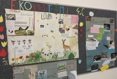 Projekt: Ekosystémy 4.C
