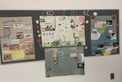 Projekt: Ekosystémy 4.C