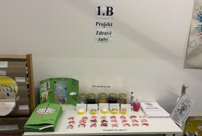 1.B Projekt Zuby