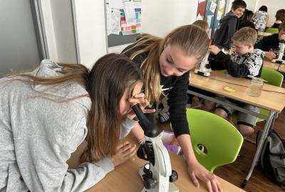 159. Workshop Mikroorganismy břežanských rybníků