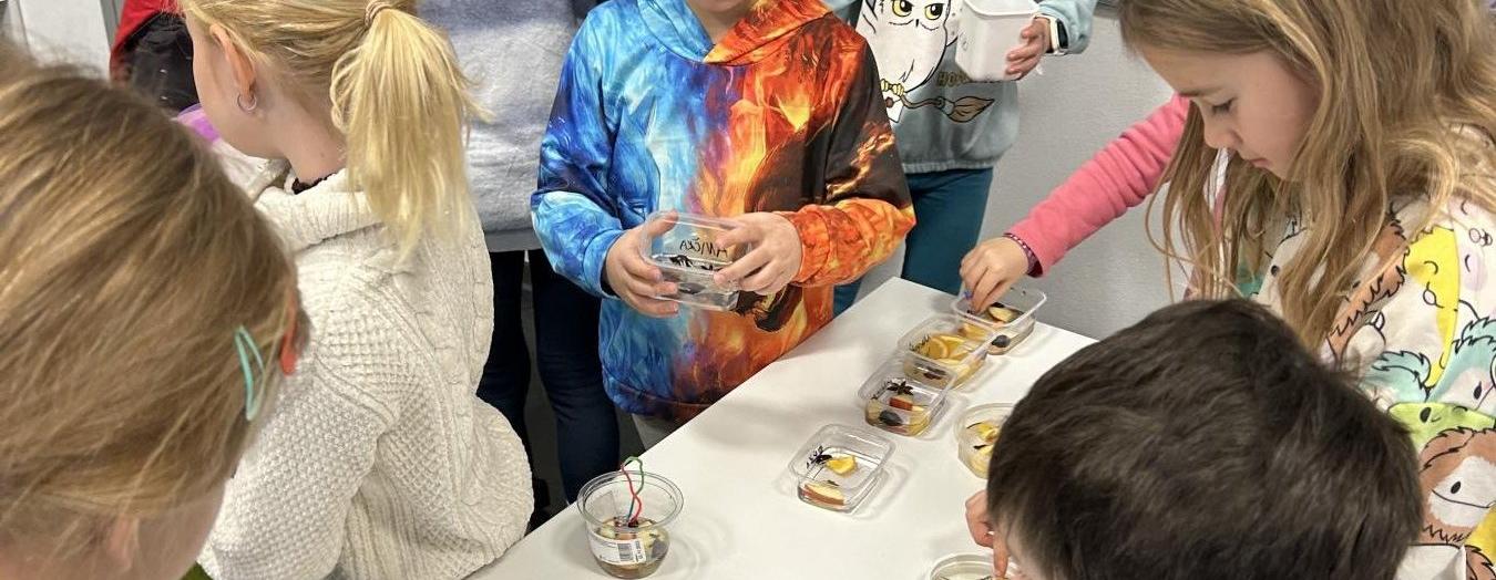 Badatelská výuka - Ledové aktivity