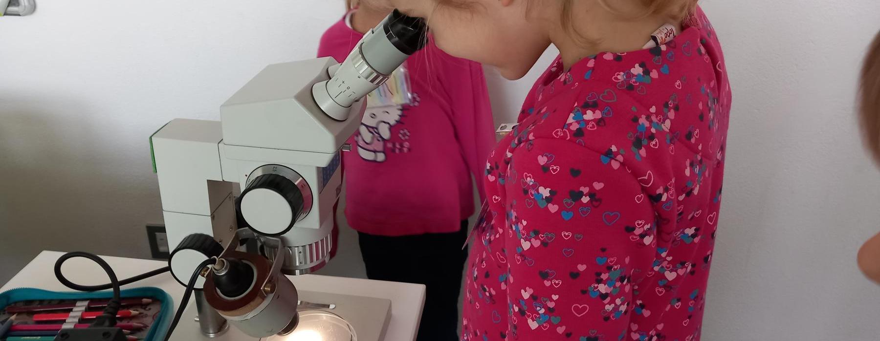 Zkoumáme svět okolo sebe... (1. C)