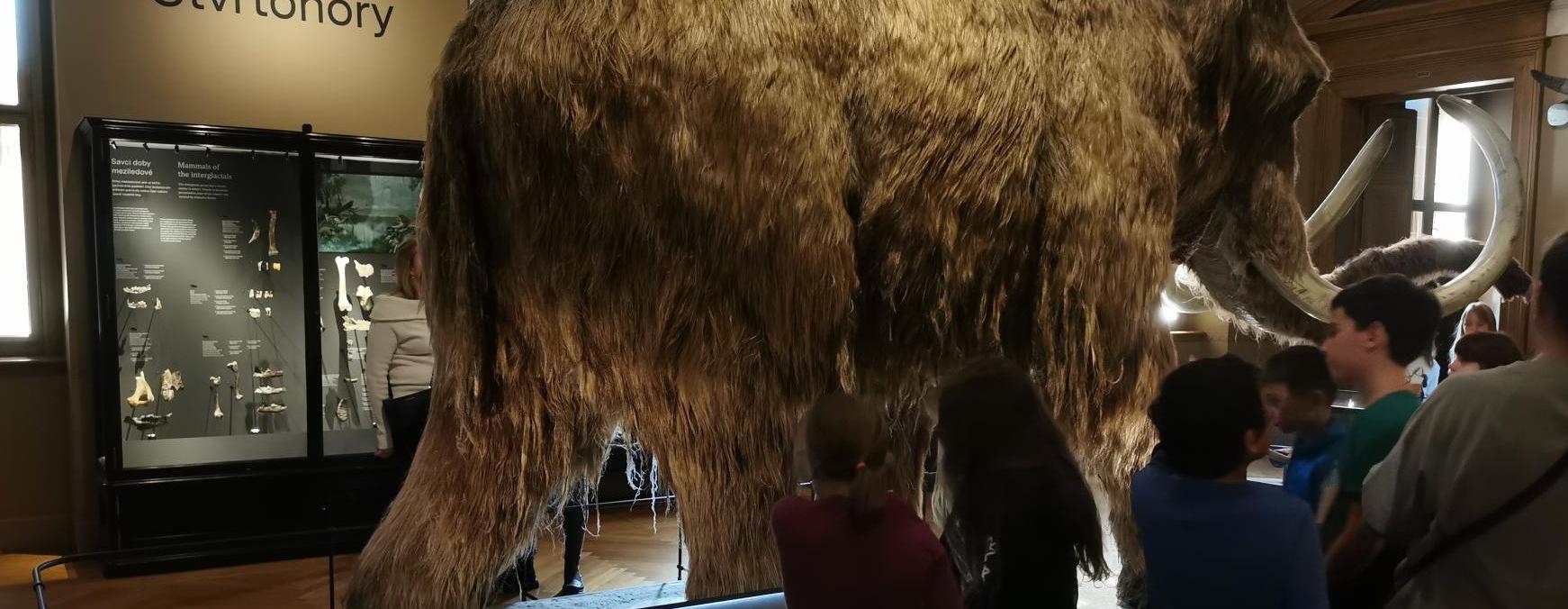 Národní muzeum pokaždé jinak